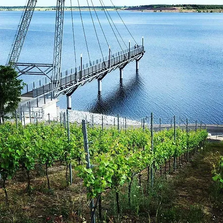 Fewo Exklusiv Seeblick Grossraeschen Exterior foto